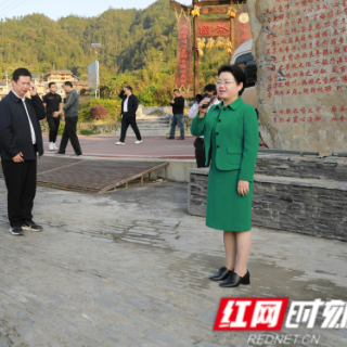 湘西州建设美丽湘西推进乡村振兴工作现场会走进保靖县