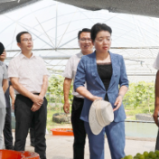 统筹发展与安全 全面推进乡村振兴