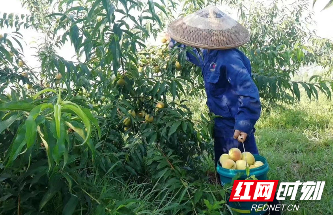 图片15.jpg