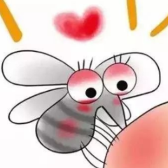 保靖县疾控中心教你如何防控登革热?