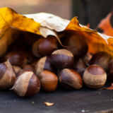 “板栗子最多的寨子”——草烈