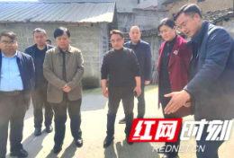 杨彦芳到凤凰督导生态环境领域工作