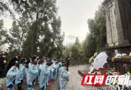 保靖县桐木棋幼儿园：清明祭扫   寄托哀思