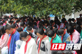 保靖县野竹坪小学:开展清明扫墓活动