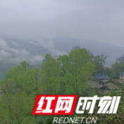 清明时节忆父亲