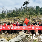 保靖县碗米坡镇：酉水河畔添新绿，干群共植“同心林”