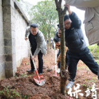 “党徽映青山 绿意润初心”：瑞兴公司开展植树活动 为茶超增绿添彩