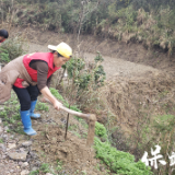 保靖县林业局联合复兴镇开展植树活动助力城乡绿美升级