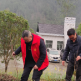 湘西州生态环境局保靖分局:学雷锋共植树 乡村振兴在行动