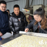 保靖、古丈联合开展机械化育插秧技术培训 共筑粮食安全防线