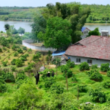 蹲点十村看减负:基层治理如何实现轻装上阵?