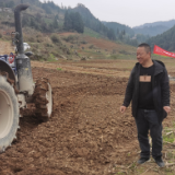 农机为迁陵镇烟叶种植注入新质生产力