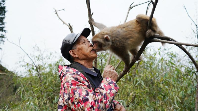 微信图片_20250318131014_215_毒霸看图.jpg