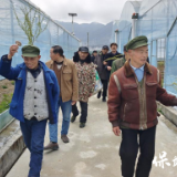 保靖县民政局:丰富敬老院生活 让老人从“养老”到“享老”