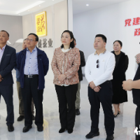 海南省湖南商会、海南省湘西商会来保靖考察