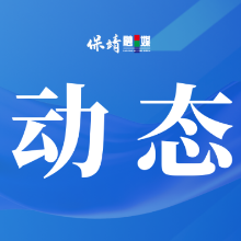 保靖•济南实现“茶产业一件事”跨省通办