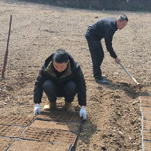 保靖县清水坪镇：驻村帮扶结硕果 南瓜产业绘新篇