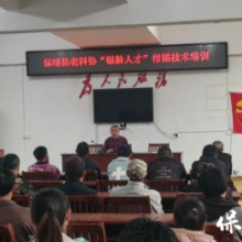 银龄耀酉水：保靖县老科协助力乡村振兴