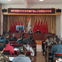 保靖县碗米坡镇：菌技培训添“蘑”力 产业振兴结“富”菇 