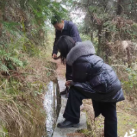 保靖县水田河镇:抢抓时令修水利 筑牢产粮“耕”基