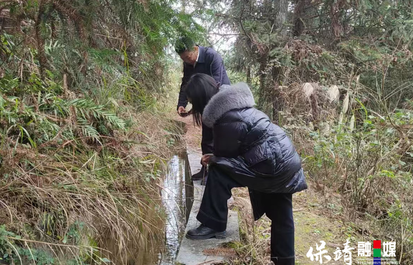 保靖县水田河镇：抢抓时令修水利 筑牢产粮“耕”基