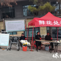 倡导绿色祭扫 弘扬文明新风——保靖县民政局统筹部署清明祭扫服务保障工作