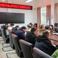 以“小片区”带动“大振兴” 积极探索碗米坡镇全面振兴新路径