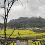 保靖县农业农村局:筑牢春耕保障网,确保全年粮满仓