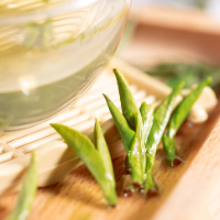 保靖林茵茶业:创新“五金”模式,激活村集体经济新动能