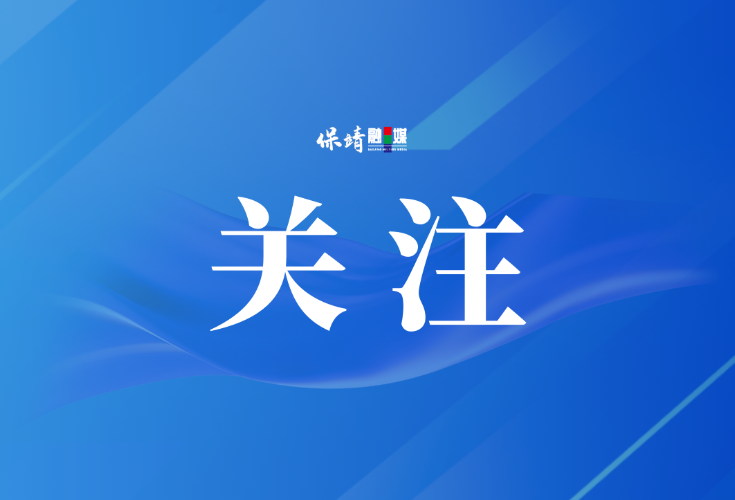 保靖县召开医保基金管理突出问题专项整治暨服务质效提升工作部署推进会