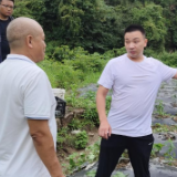 保靖县普戎镇:专家田间“把脉”辣椒种植 助力乡村振兴