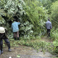 保靖县工商联执委清障保畅暖民心