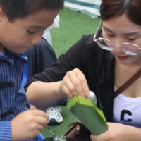 保靖县桐木棋幼儿园:粽香传情乐融融 童心飞扬庆六一