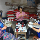 长潭河乡花桥村:“指尖经济”点亮家门口的幸福生活