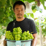 三项工作·实干争先│从“三熟制”典范到乡村振兴新图景——保靖县拱桥村的破茧之路