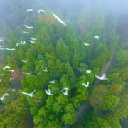 湘西秘境,道源圣地|从山名变迁探 保靖白云山的前世今生