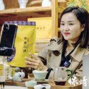 旗帜飘扬·榜样力量|张琴:茶旅融合铺就乡村“黄金”振兴路