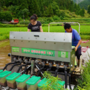 保靖县启动水稻机穴播技术试点 赋能丘陵农业现代化