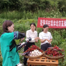 保靖县阳朝乡：零农药辣椒直播首秀  “带”出大山