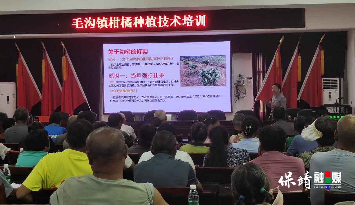 图片6 拷贝.png