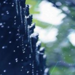 省内多雨水,长沙不降温 省气象台发布高温黄色预警