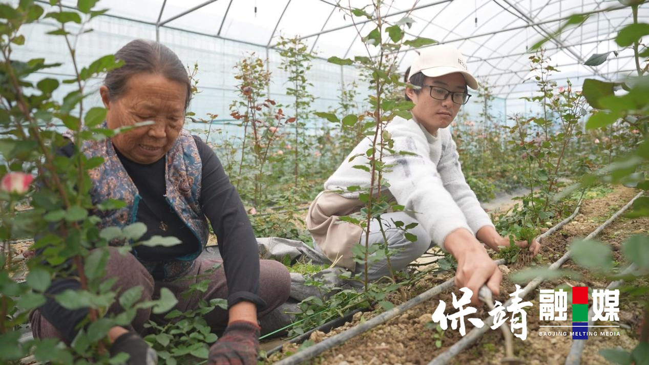 花匠图片2.jpg