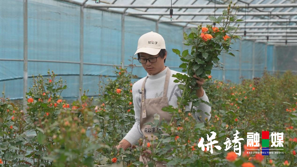 花匠图片3.jpg