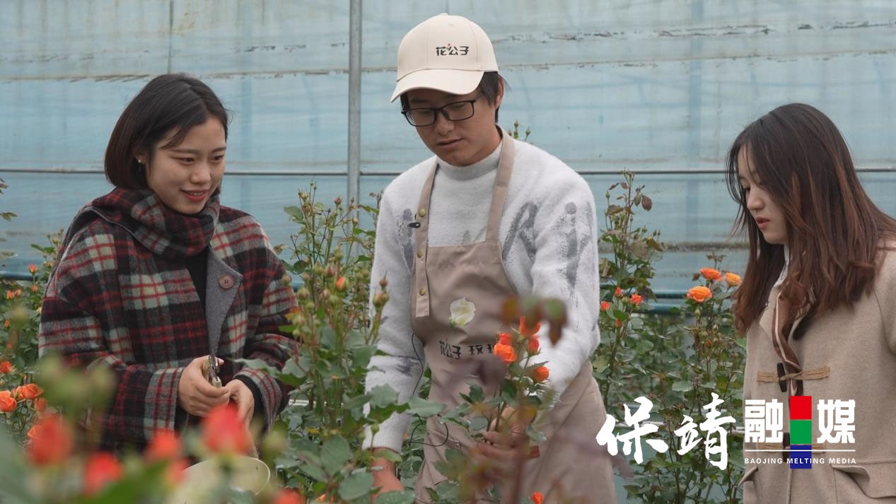 花匠图片1.jpg
