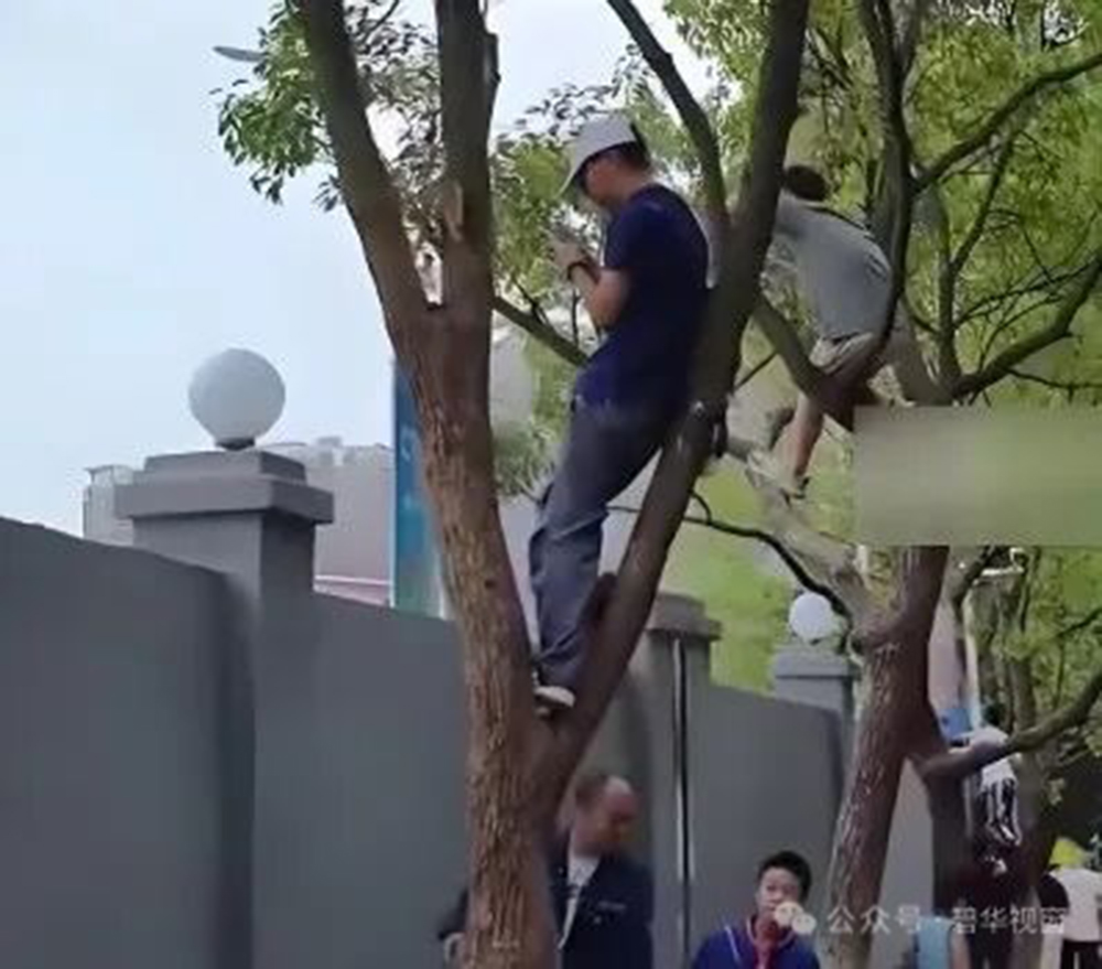 微信图片_20251015094928.jpg