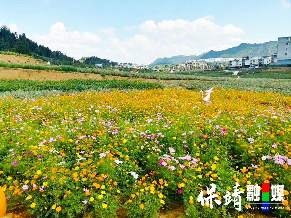 图片4-恢复的.jpg