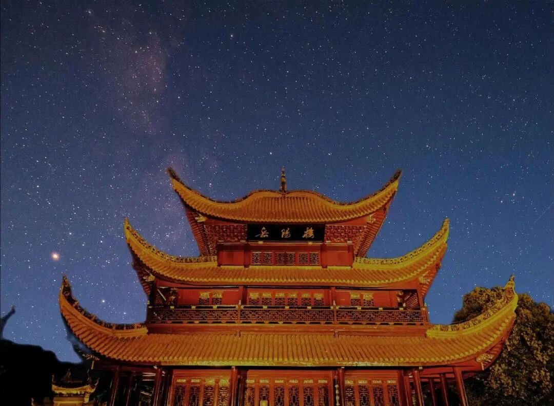 IMG_3205.jpeg IMG_3205.jpeg