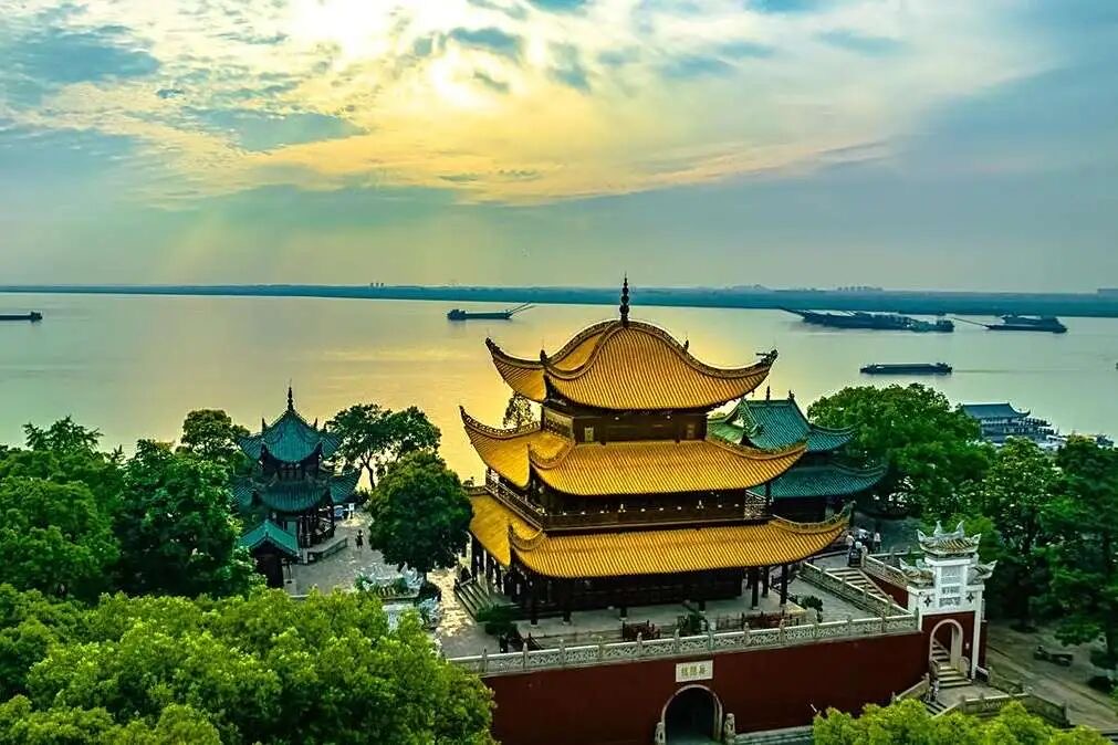 IMG_3200.jpeg IMG_3200.jpeg