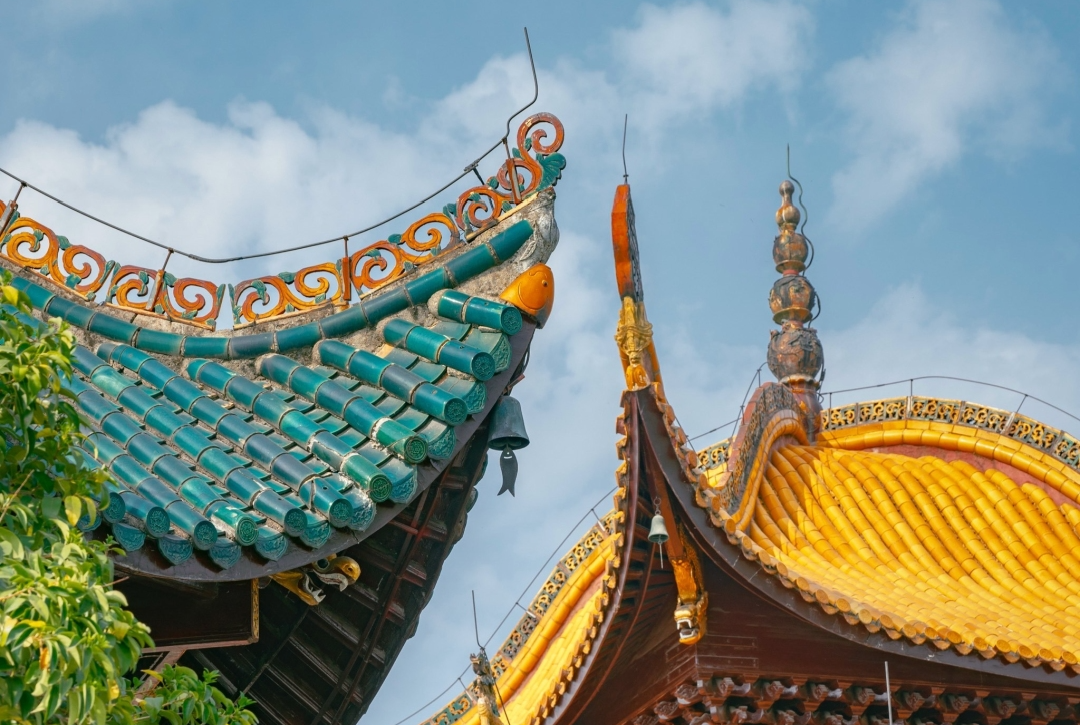 IMG_3207.png IMG_3207.png