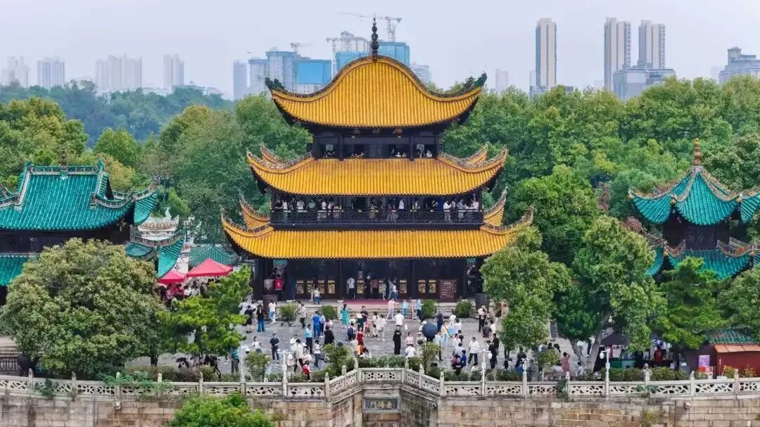 IMG_3209.jpeg IMG_3209.jpeg